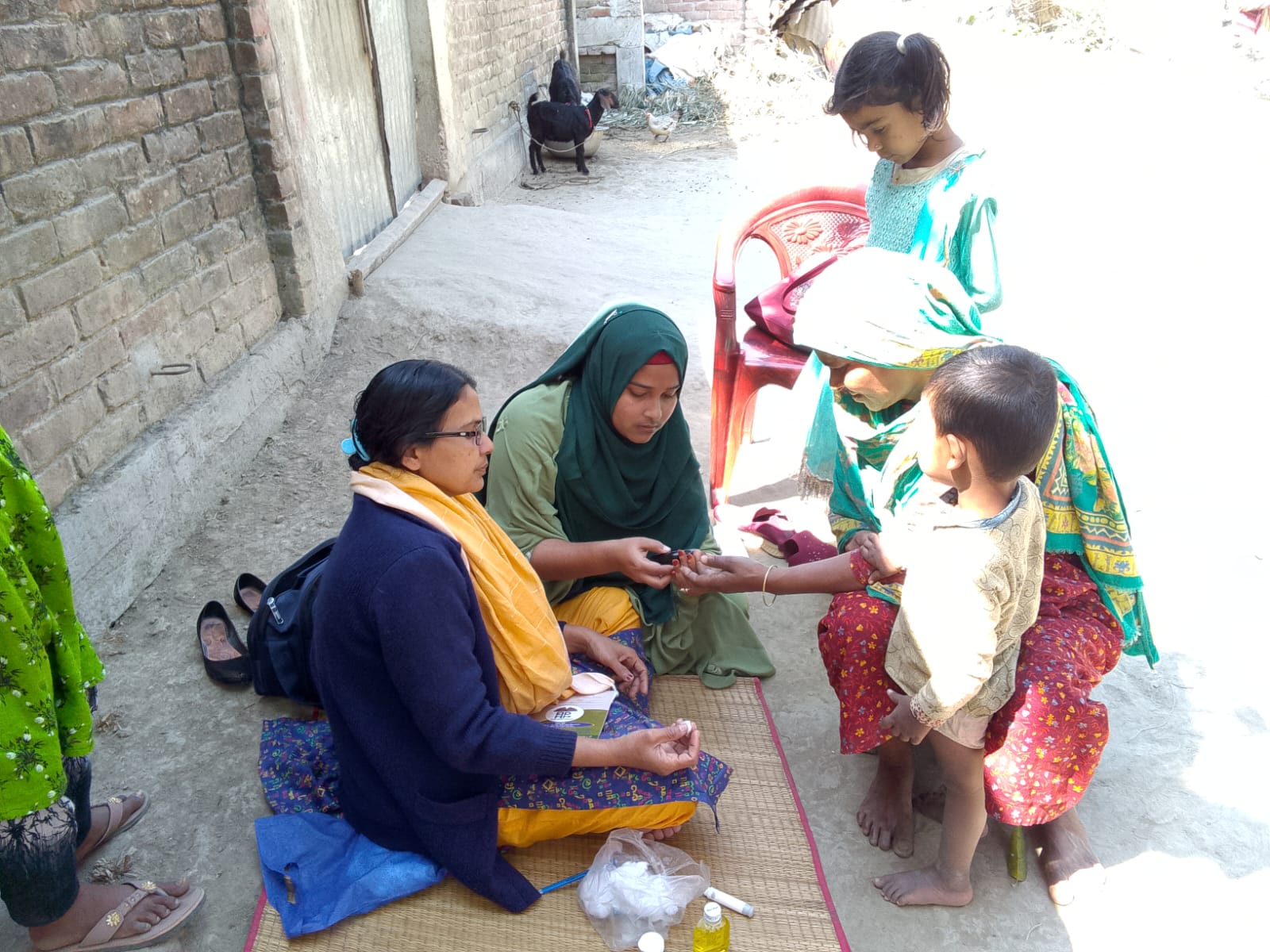 EHHD field team at work